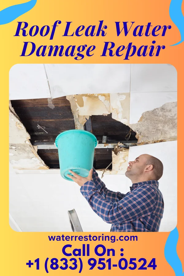 Roof Leak Water Damage Repair in Versailles, IL